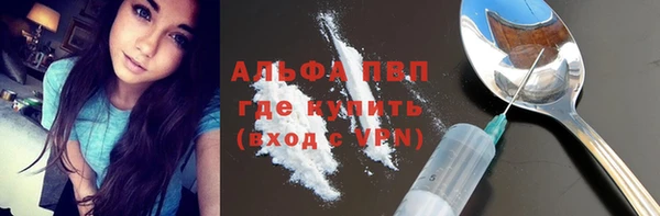 гидра Алексин