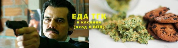 гидра Алексин