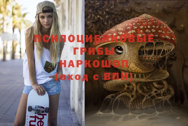 гидра Алексин
